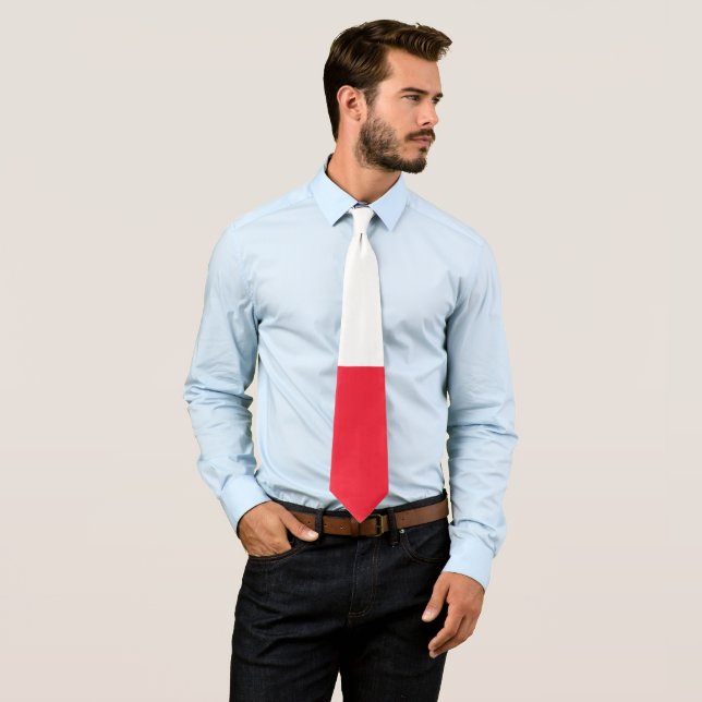 Greenland flag tie (In Situ)