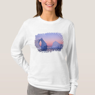 Greenland, Iceberg at sunset. T-Shirt