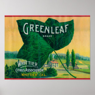 Greenleaf Lemon LabelWhittier, CA Poster