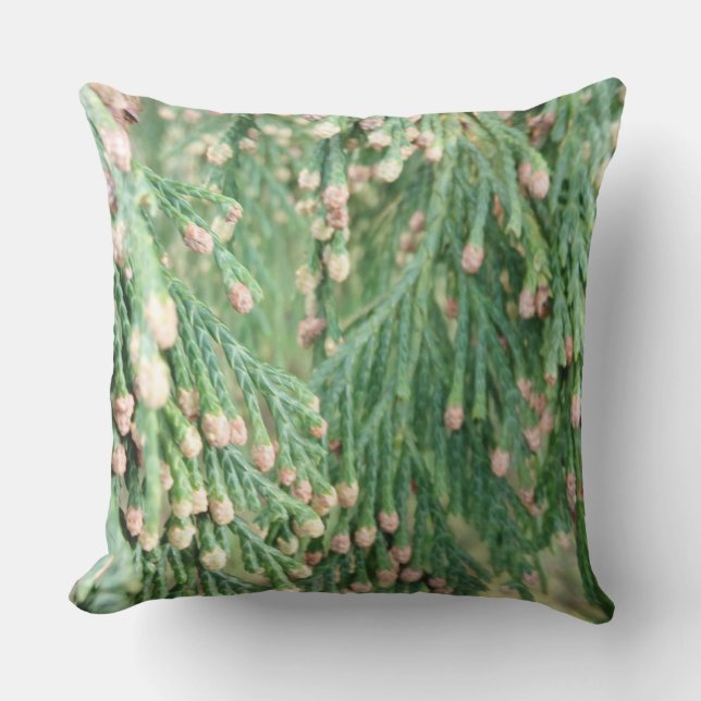 GreenLight Outdoor Pillow (Front)