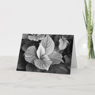 Greens in B/W Card