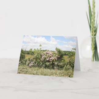Greeting Card