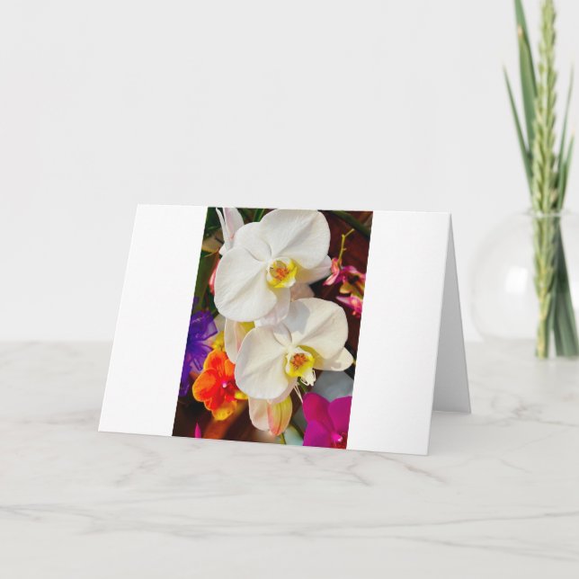 greeting card (Front)