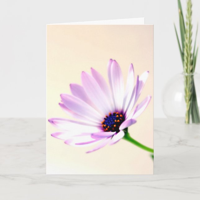 Greeting Card (Front)