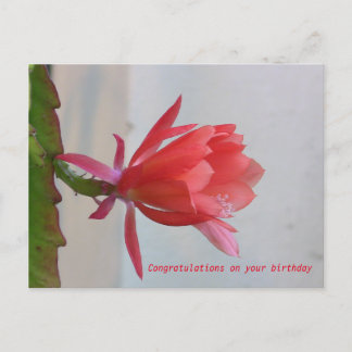 Greeting Card
