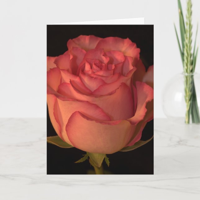 Greeting Card (Front)