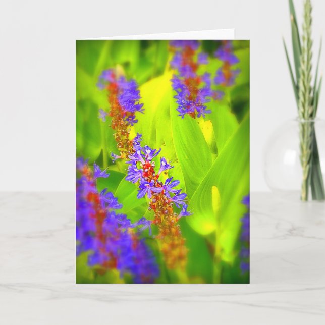 Greeting Card - Blank Inside (Front)