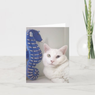 Greeting Card Blank Inside