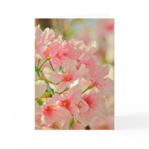 Greeting Card, blank inside