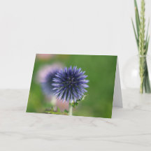 Greeting Card - Blue Globe Thistle