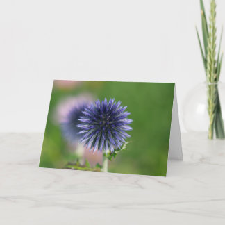 Greeting Card - Blue Globe Thistle