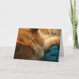 Greeting Card: Cat Nap Card