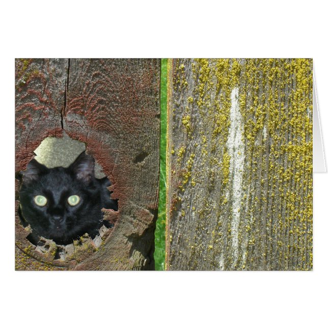 Greeting Card - Cat Peeking Through Fence (Front Horizontal)