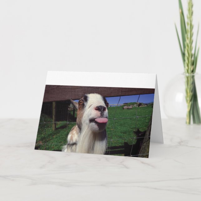 Greeting Card Cheeky Goat (Front)