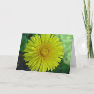 Greeting Card - Dandelion