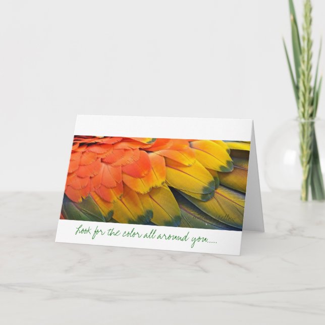 Greeting Card, Feather, Macaw Yellow Card (Front)