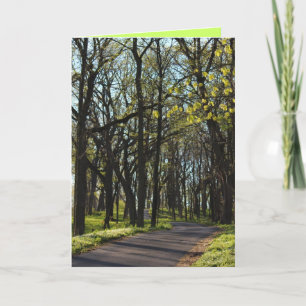 Greeting Card for Spring!