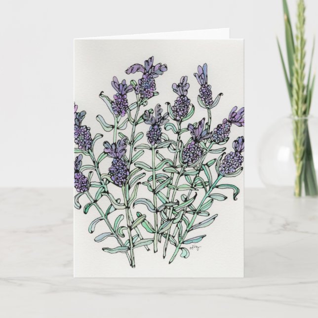 Greeting Card - French Lavender Watercolor & Ink (Front)