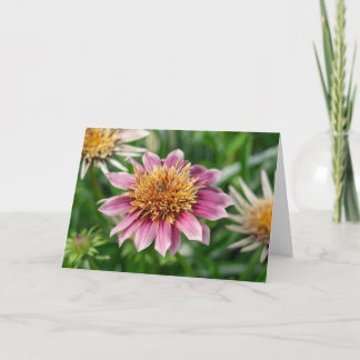 Greeting Card - Garden Beauty in Portsmouth