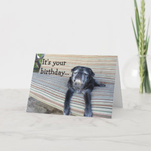 Greeting card: Happy birthday/Close your eyes Card