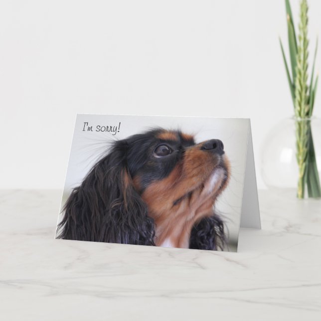 Greeting Card - I'm Sorry (Front)