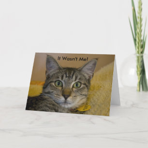 Greeting Card:  It Wasn't Me Cat 2 Card