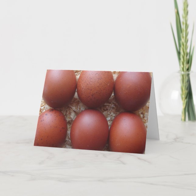 Greeting Card - Marans Chicken Eggs (Front)