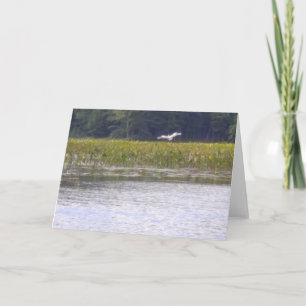 Greeting Card Nature Scene