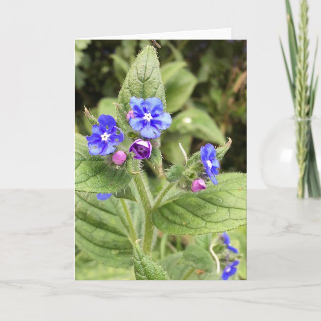 Greeting card, note card, floral, cards online (Front)