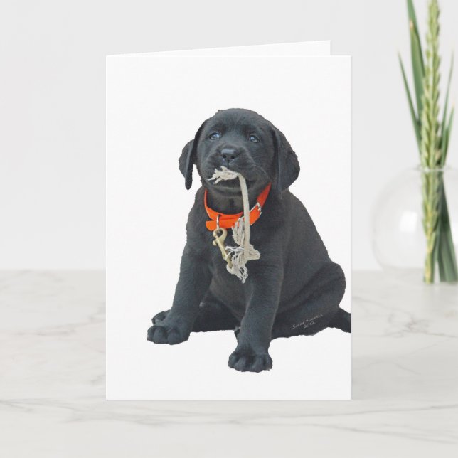 Greeting card or Note Card with Black Labrador Pup (Front)