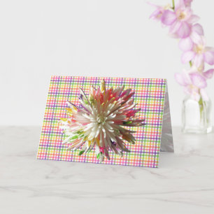 Greeting Card - Painted Spider Mum on Checks