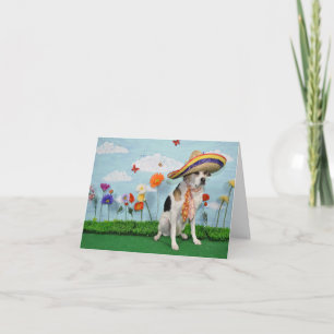 Greeting card, photo of dog in sombrero thank you card
