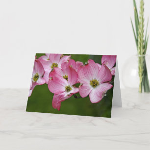 Greeting Card:  Pink Dogwood Card