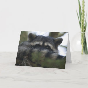 Greeting Card: Racoon Card