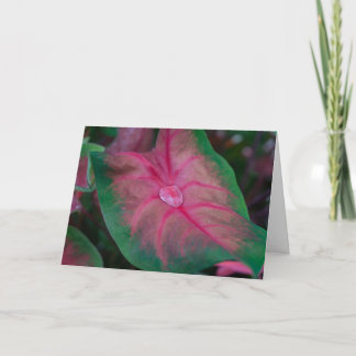 Greeting Card - Raindrops in the Garden
