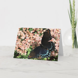 Greeting Card - Red Spotted Purple Butterfly