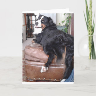 Greeting Card, Standard white envelopes included Card