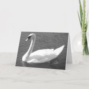 Greeting Card - Swan in Black & White