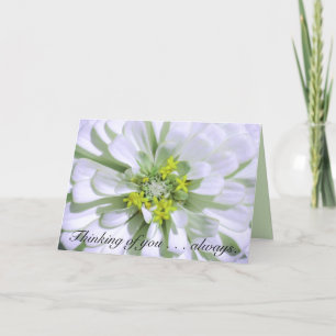 Greeting Card-Thinking of you-Lemony White Zinnia Card