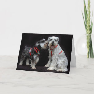 Greeting Card Two Schnauzers Whispering