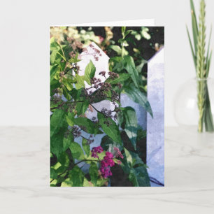 GREETING CARD: White Picket Fence_ Card