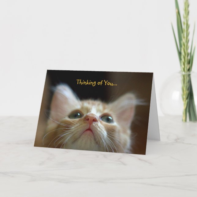 Greeting Card with Adorable Orange Tabby Kitten (Front)