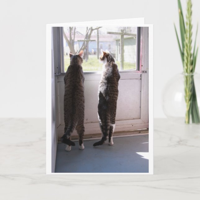 Greeting Card with Cats (Front)