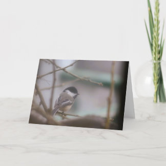 Greeting card with chickadee