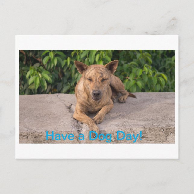 Greeting Card with Dog Theme (Front)