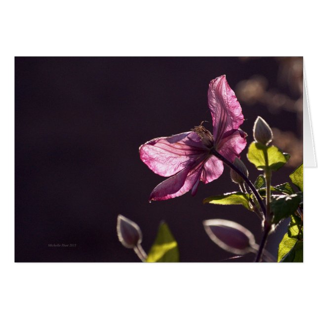 Greeting Card With Flower (Front Horizontal)