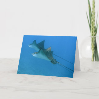 Greeting Card with Ocean Eagle Rays Maui