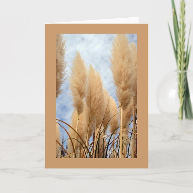 Greeting Card with Ornamental Grasses (Front)