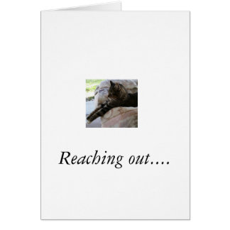 Greeting card with photo of cat that is stretched