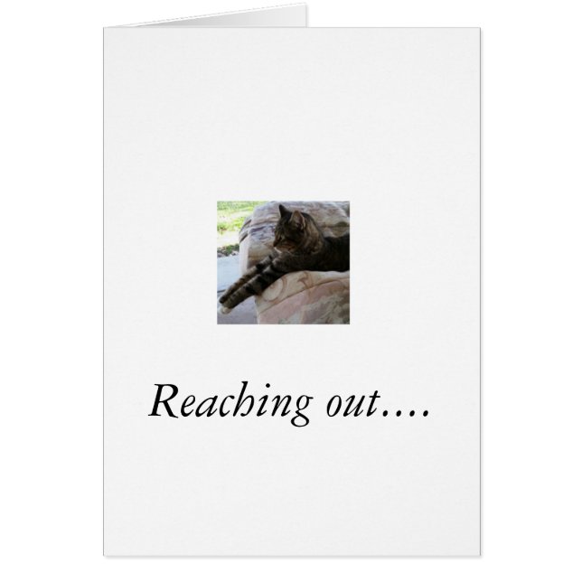 Greeting card with photo of cat that is stretched (Front)